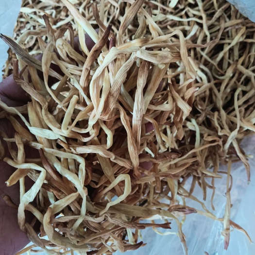 祁东县黄花菜干度好，基地直销，价格优势