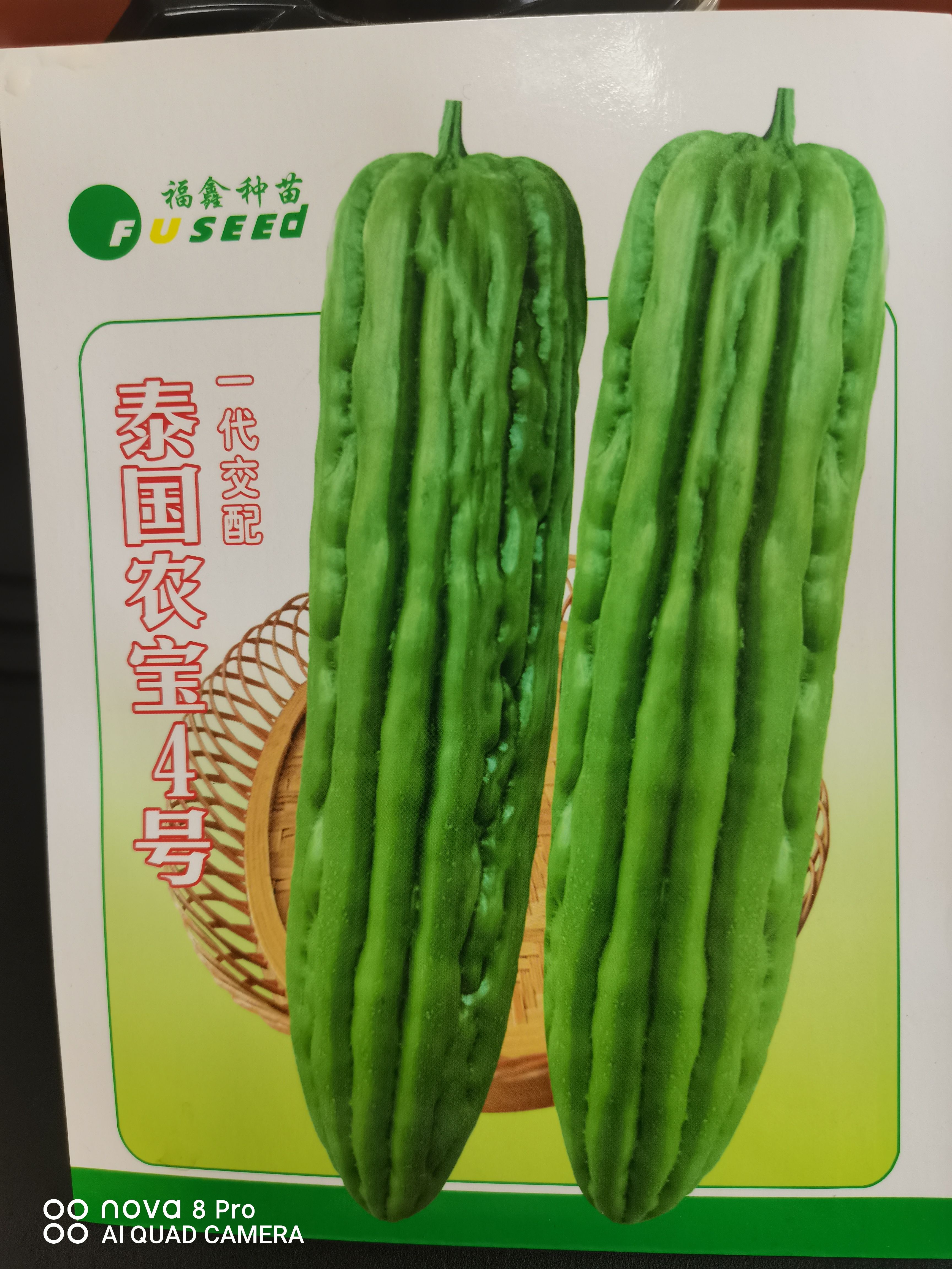 泰国农宝4号杂交油绿苦瓜