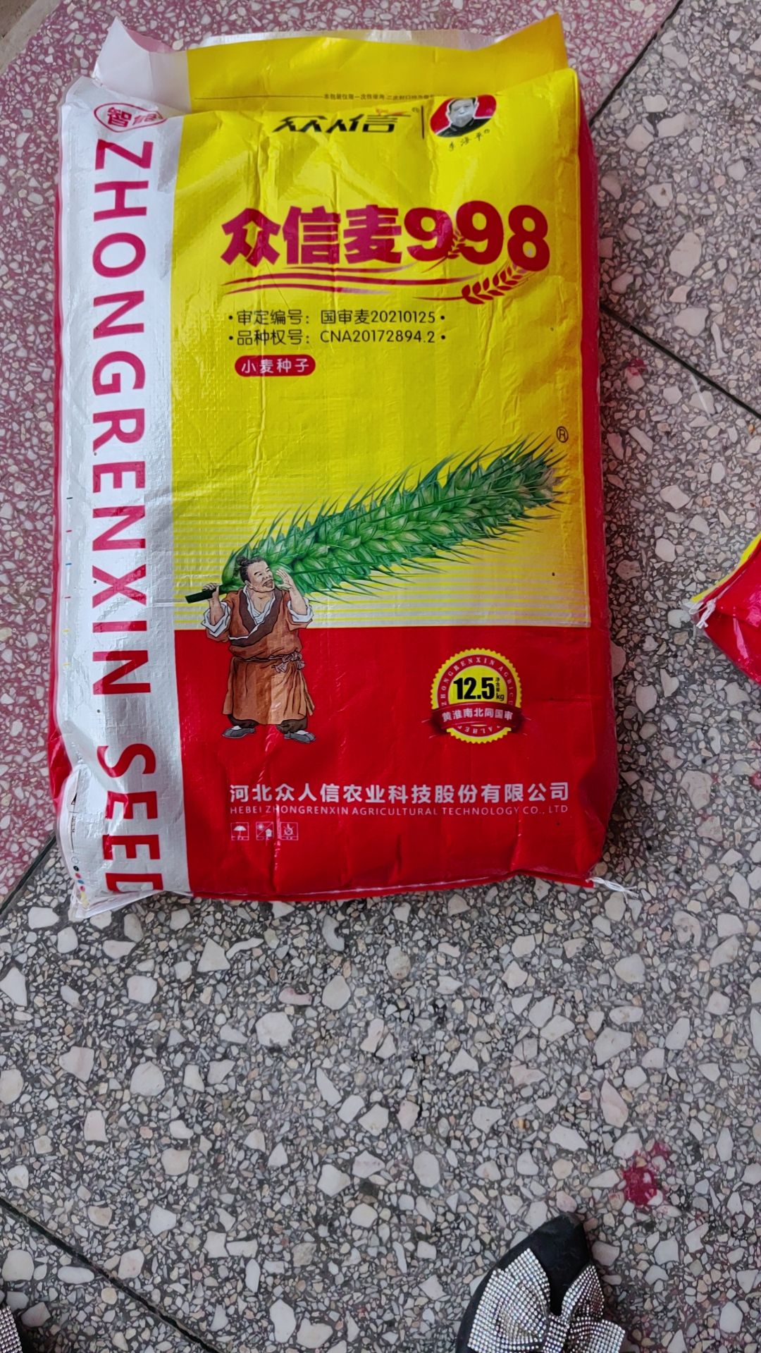 叶县众信麦998，优良品种，抗倒伏抗病害，抗寒抗旱