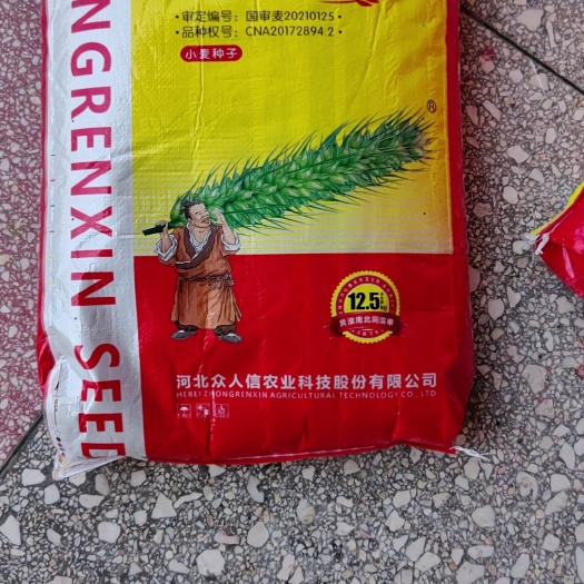 众信麦998，优良品种，抗倒伏抗病害，抗寒抗旱