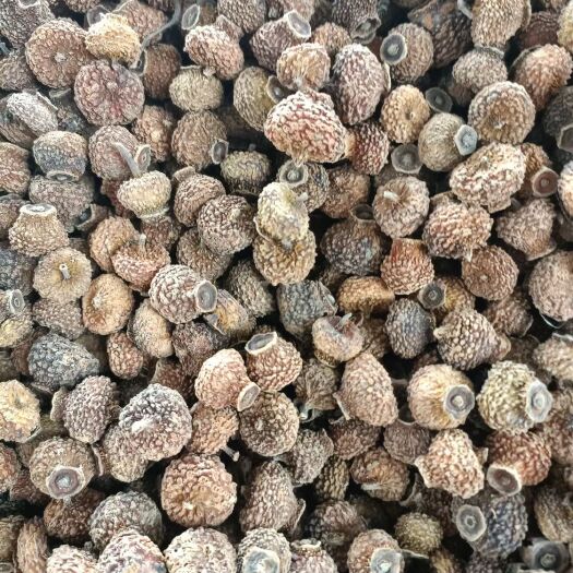 镇远县刺梨干果大量供应