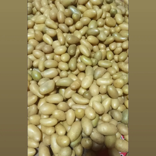 张北县微型暑