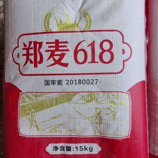 小麦种子优质小麦种籽郑麦618矮杆大穗抗倒抗病落黄好产量