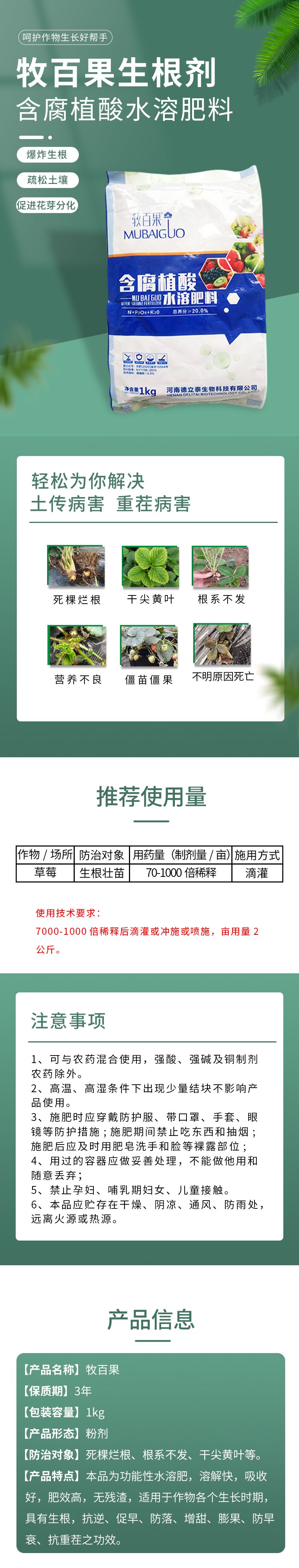 草莓爆炸生根，预防死棵烂根，改良土壤，抗重茬障碍，提高成活率