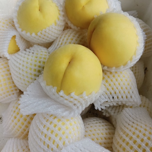 炎陵县锦绣黄桃