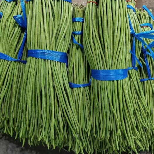 耿马县产地大量有货  需要联系  今天入库1.2-1.5单斤
