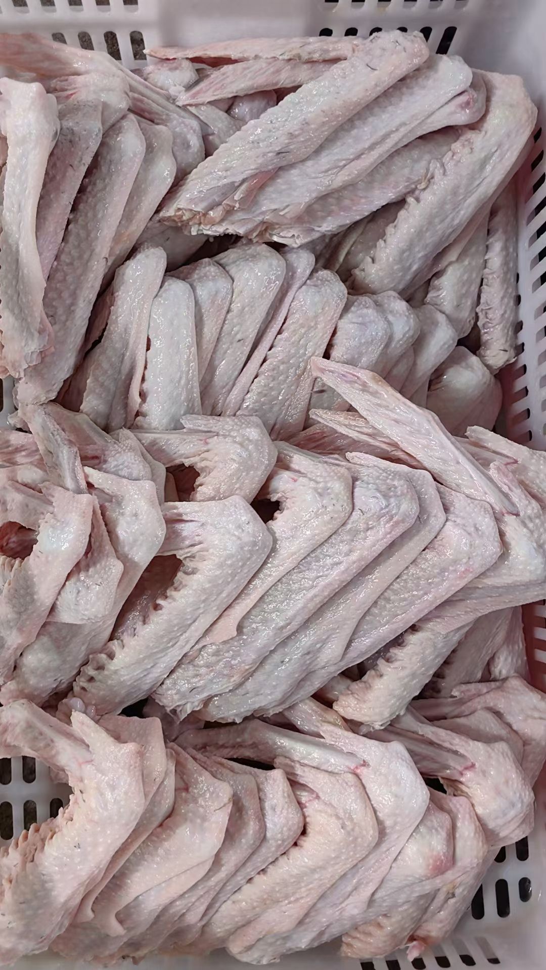 鹅副产品鹅翅鹅掌鹅体