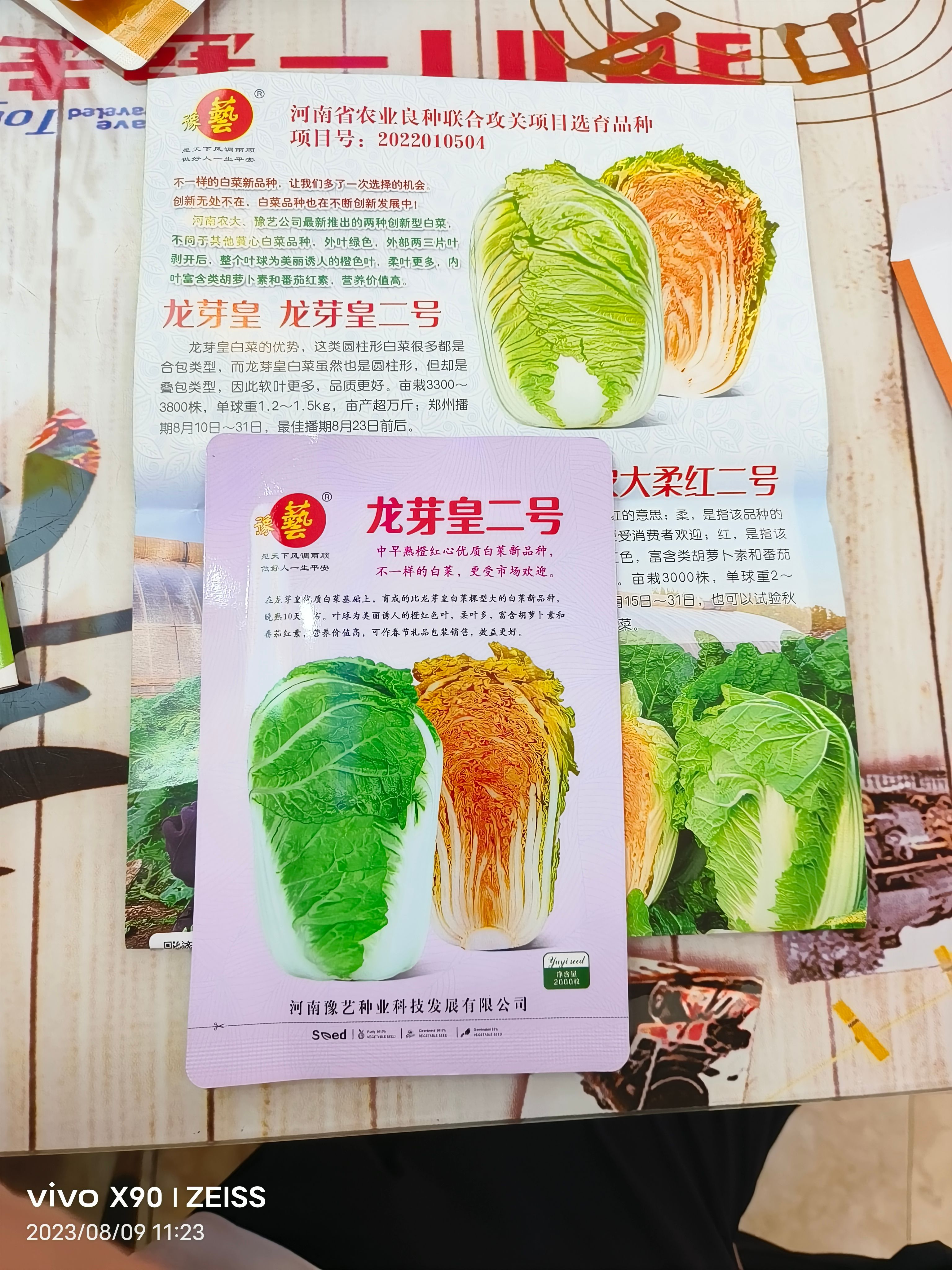 龙芽皇二号白菜种子橙红色叶柔叶多富胡萝卜素和番茄红素70