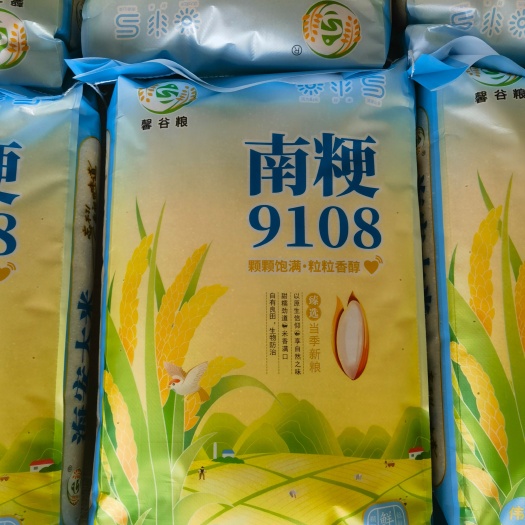 海安市南粳9108