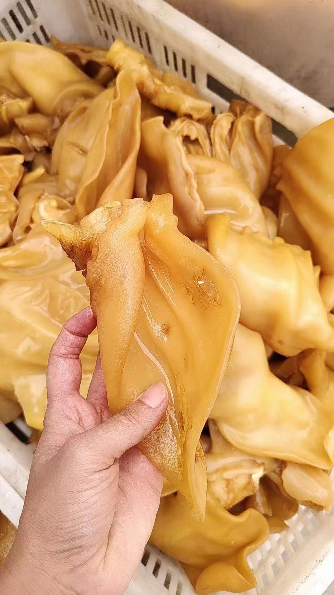 牛耳片。生熟都有，价格便宜