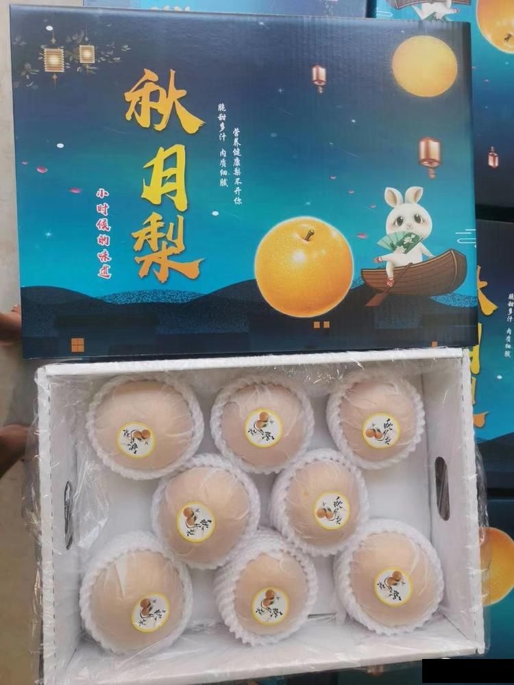 精品秋月梨 定制礼盒包装 皮薄多汁 对接电商 直播带货