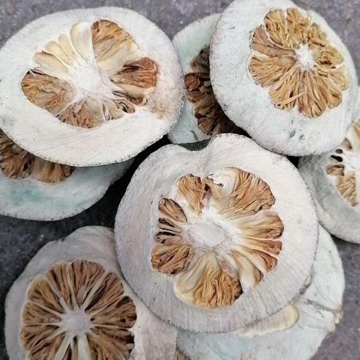 供应前期优质衢枳壳