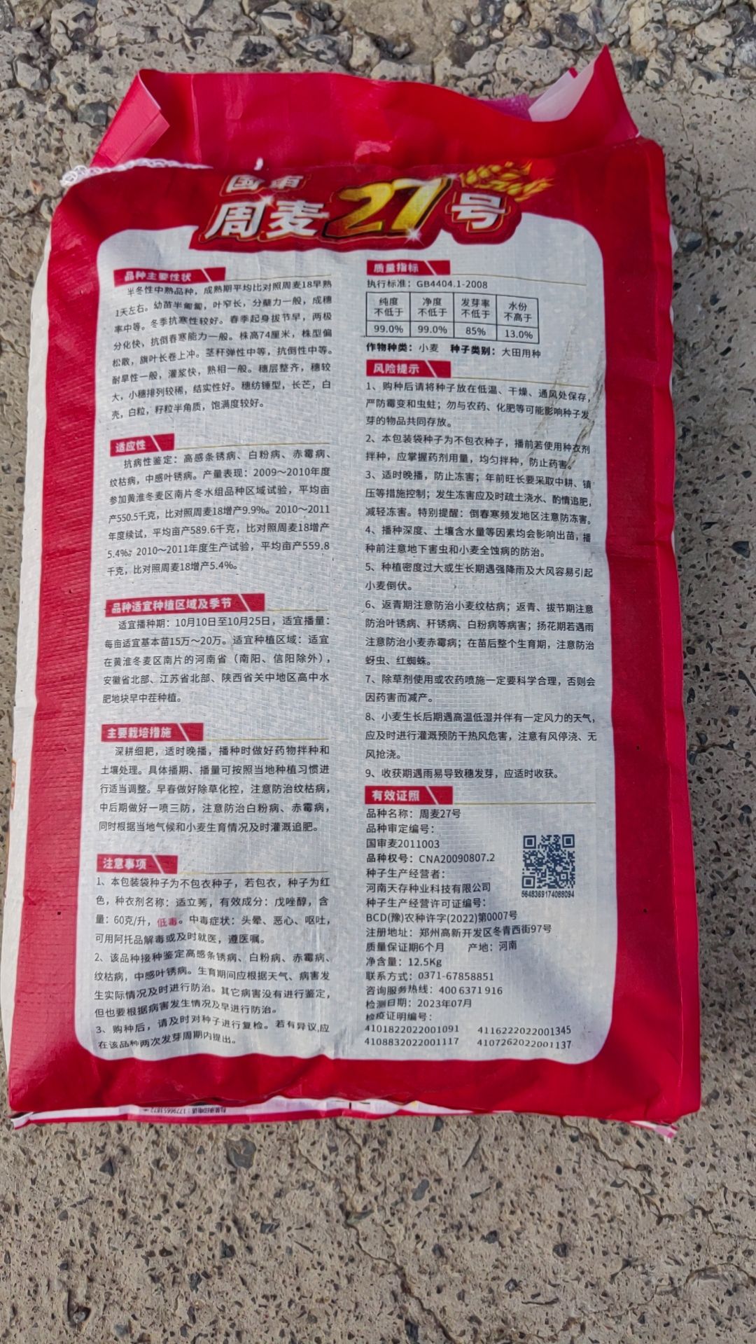 周麦27号小麦种子产量高抗病抗寒矮杆大穗抗倒抗旱低杆批发