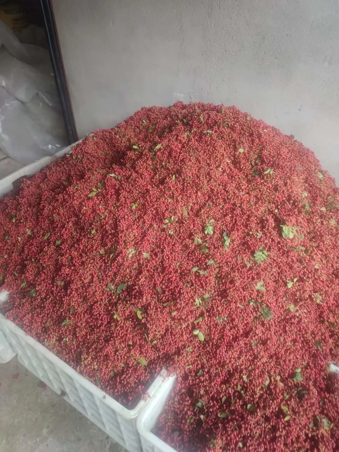 四川汉源花椒，粒大饱满，颜色红，麻味促，全国出名！欢迎光顾！