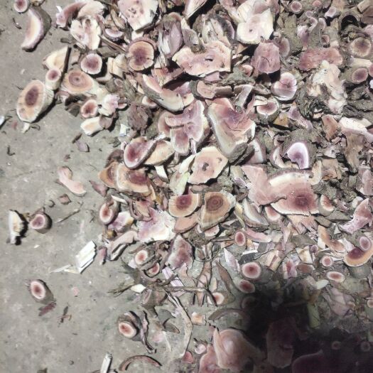 楚雄市云南千斤红又称千斤拔切片干货400斤发货