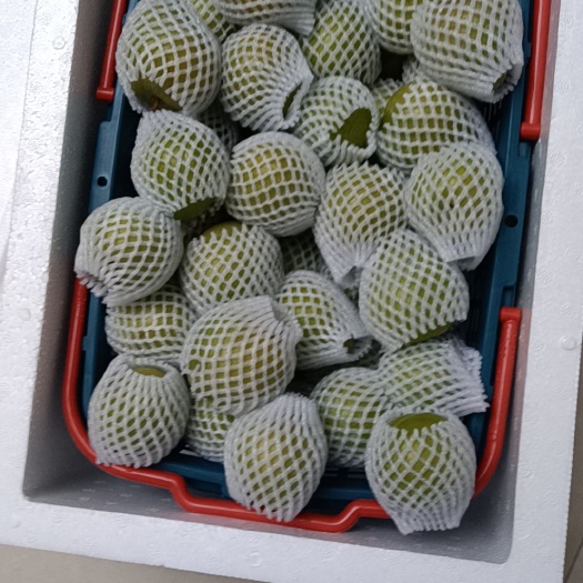 清镇市奈李