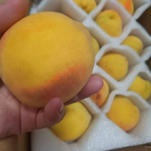 麻阳县富硒红心黄桃
