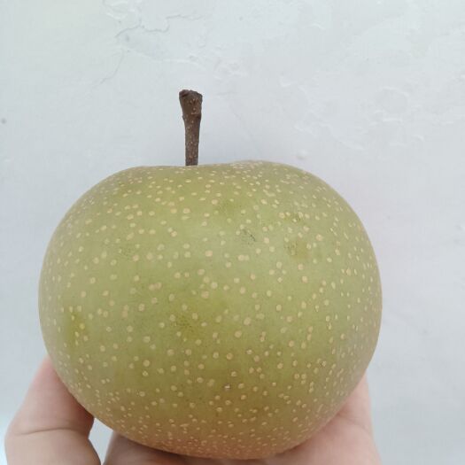 信阳黄金梨，甜