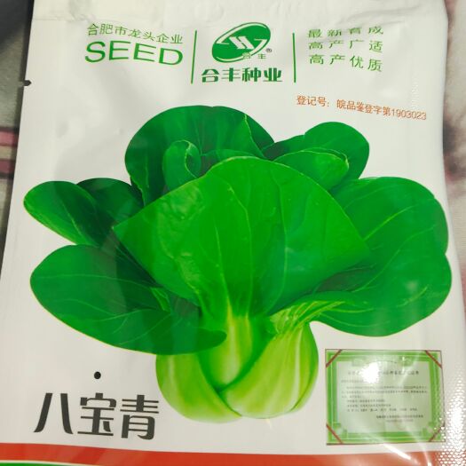 宿迁青菜种子八宝青菜种子苏州青白菜种子