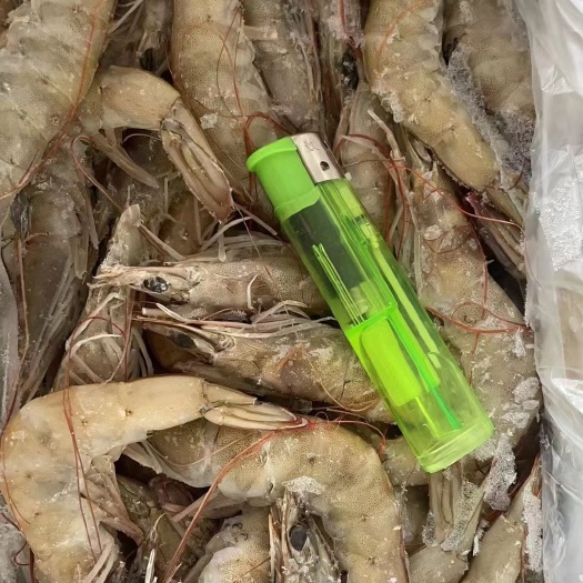 塘口直捕下库 冷冻对虾 南美白对虾  海水虾 罗氏沼虾