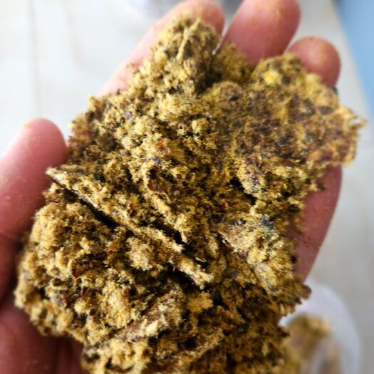 石家庄棉饼
