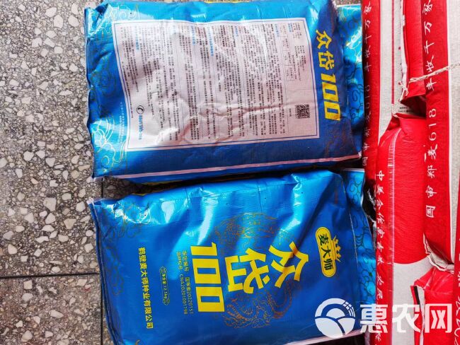 众岱100农业部主推品种抗倒伏能力极好熟相好抗寒抗旱高稳产