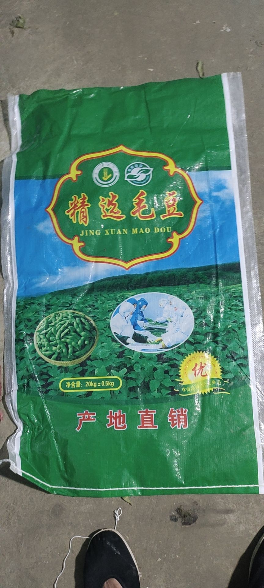 开原八棵树翠绿宝毛豆，大板型，无斑，全国最好的货