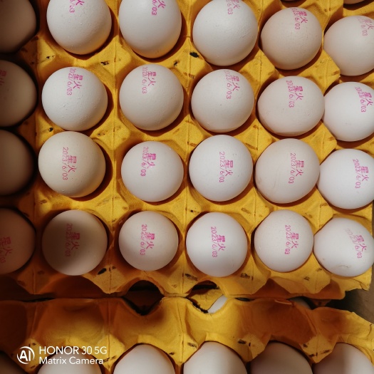深州市星火无抗鸡蛋