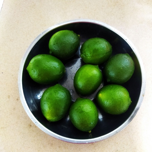 阳山县无子青柠