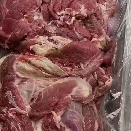 河间市纯干  羔羊的  新鲜的  羊肉   瘦度高