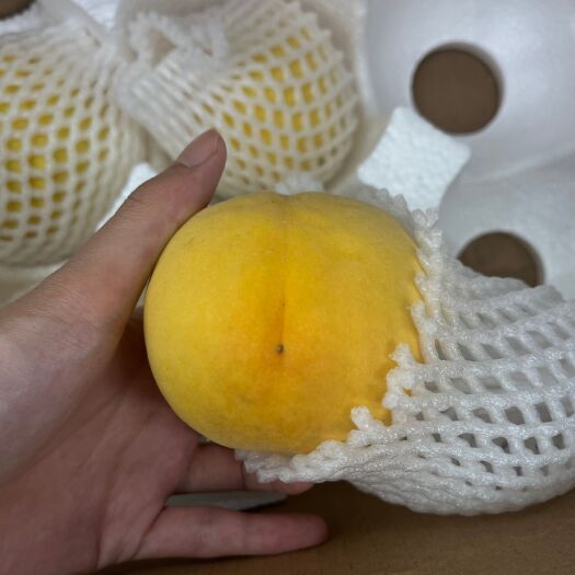 石棉县黄桃供应