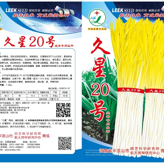 平顶山久星20号，优质韭黄品种