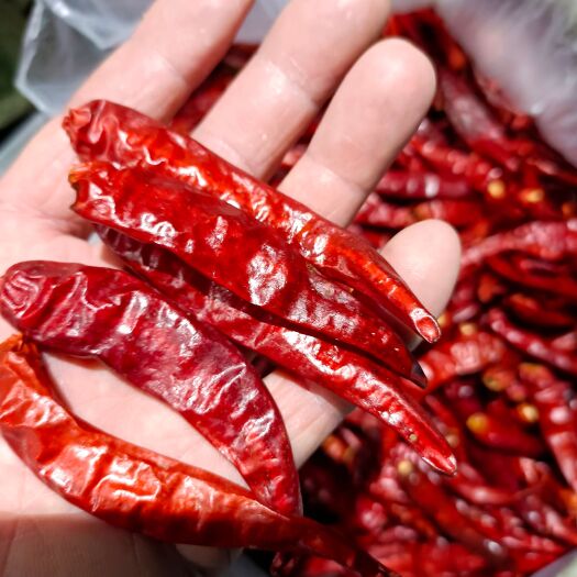 涉县艳红无把无帽精品干椒，大量出售，诚意出货，价格面子
