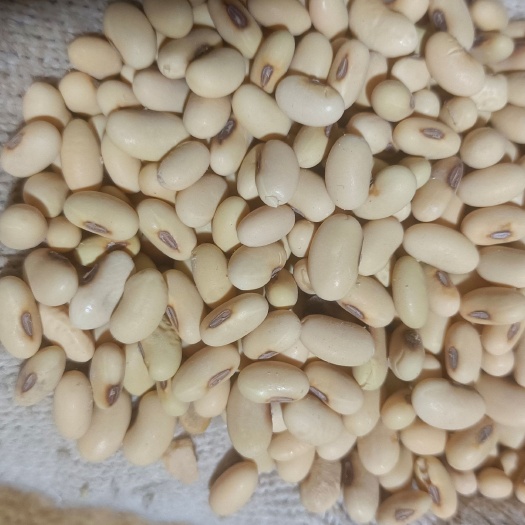 靖边县黄豆，非转基因腰花黄豆，豆浆，豆腐，豆皮，