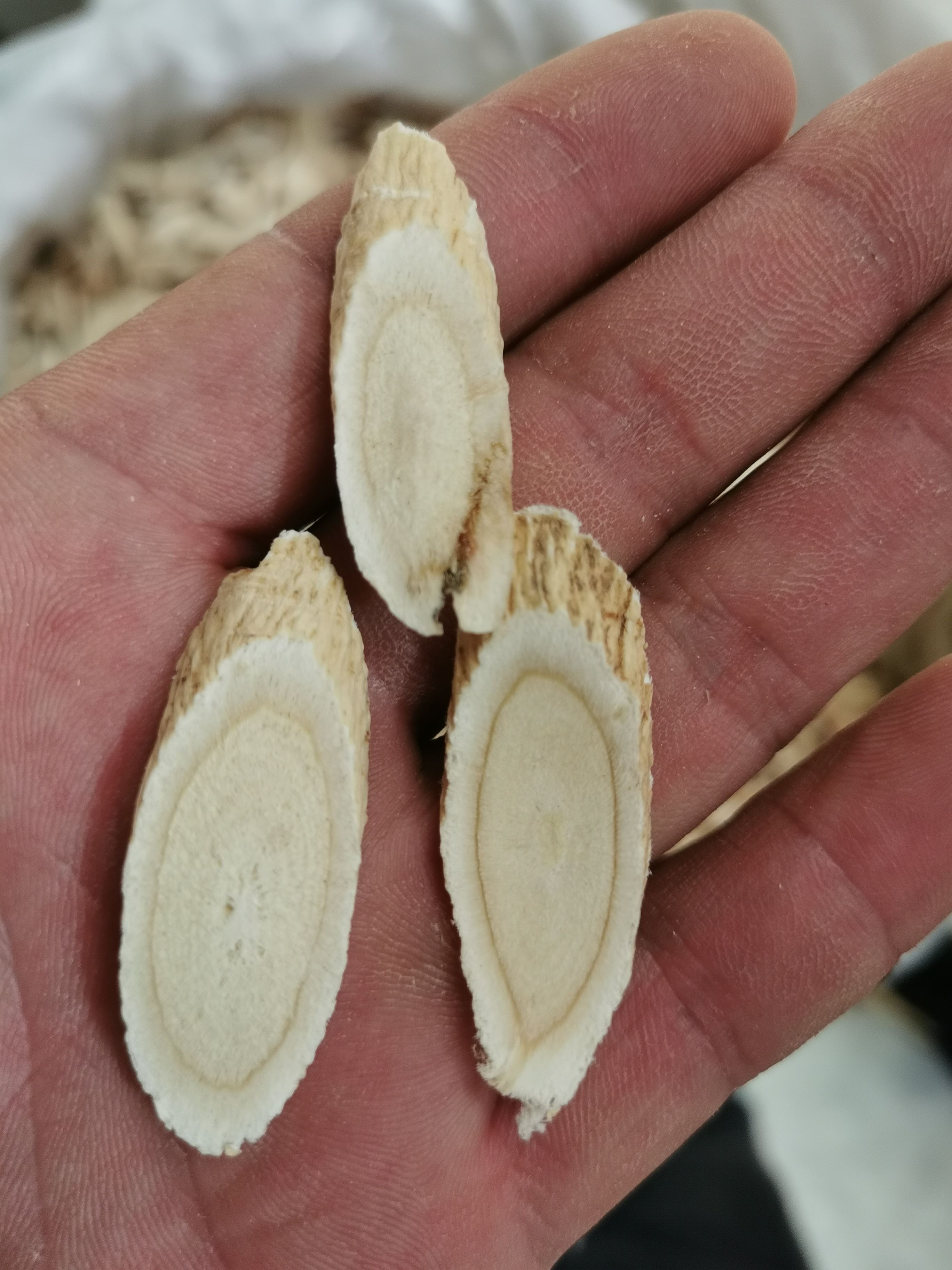 甘肃白条黄芪饮片