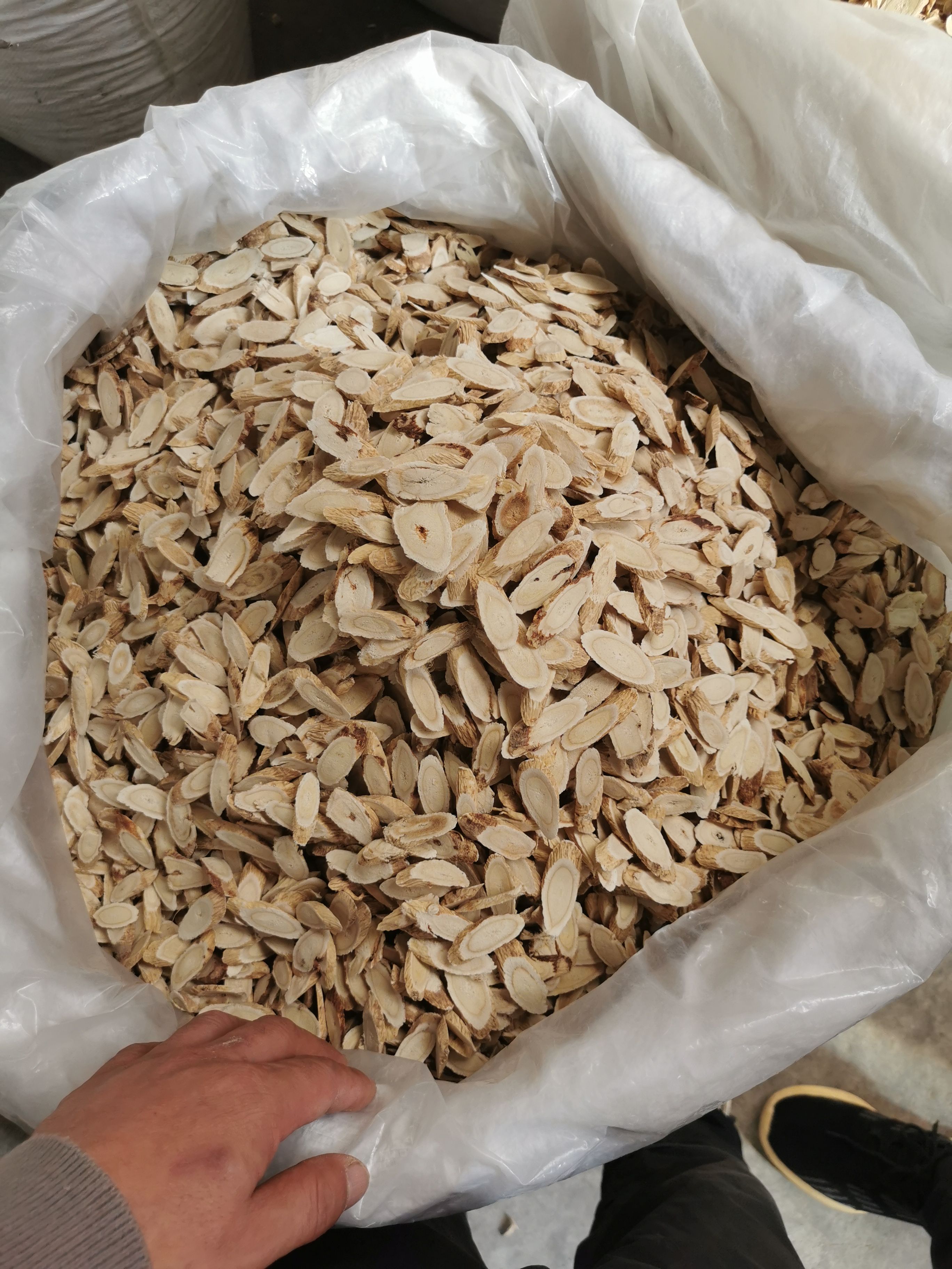 甘肃白条黄芪饮片