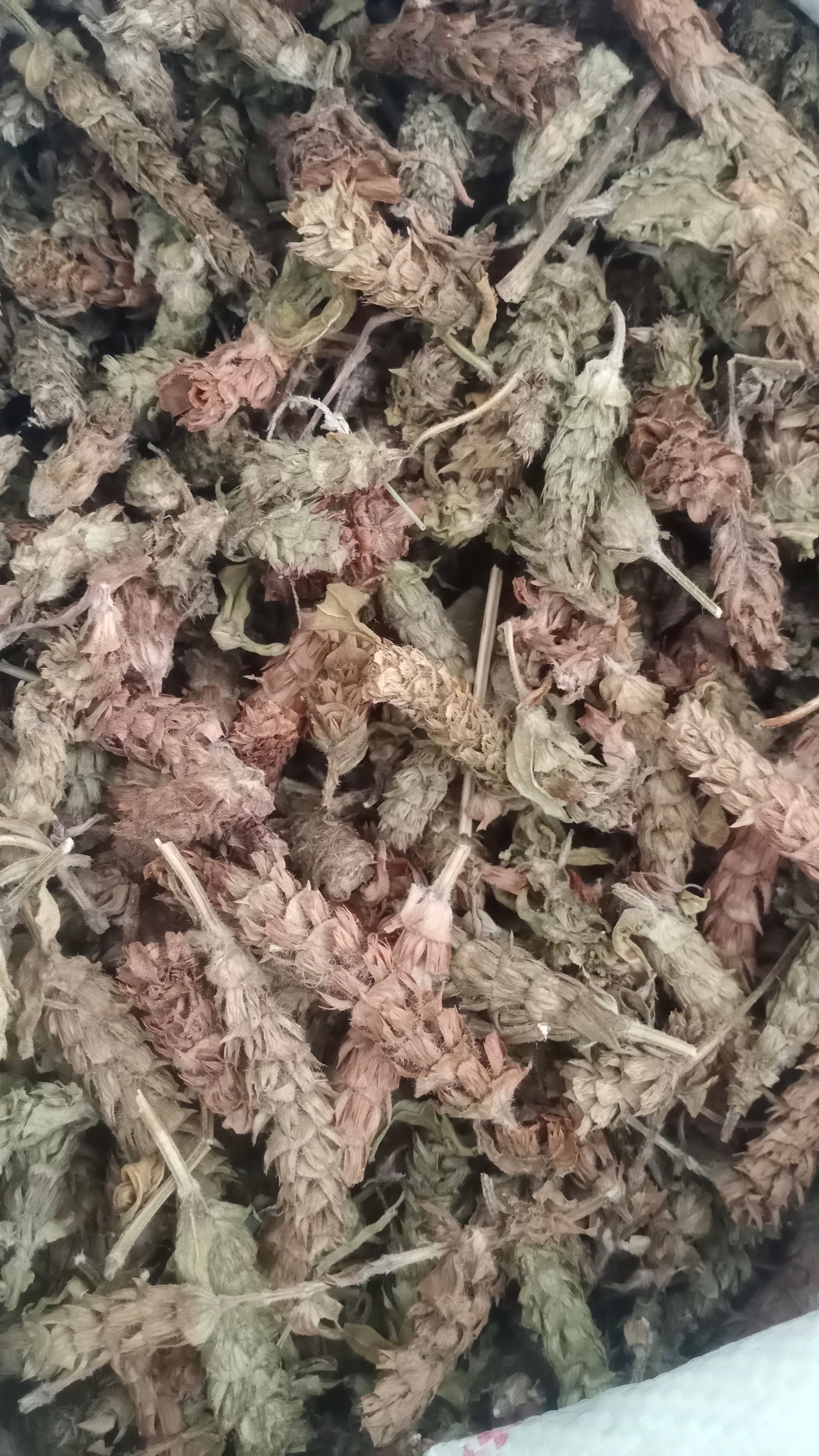 【夏枯球】产地河南实物拍摄一手货源大货供应规格齐全量大优惠。
