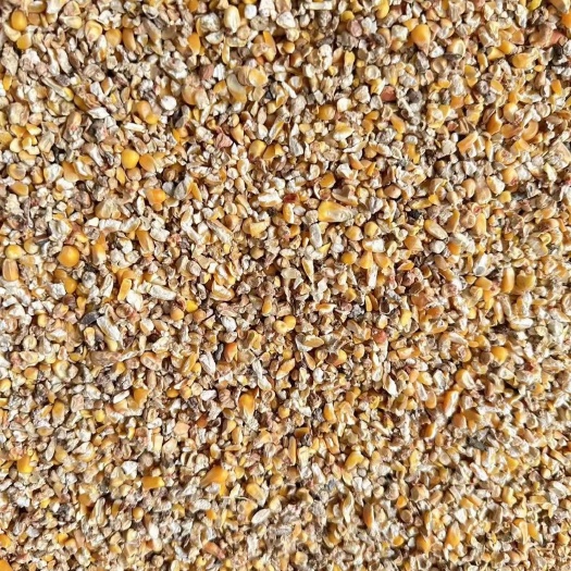 碎玉米筛漏适合鸡鸭鹅养殖户使用大量现货供应厂家直销