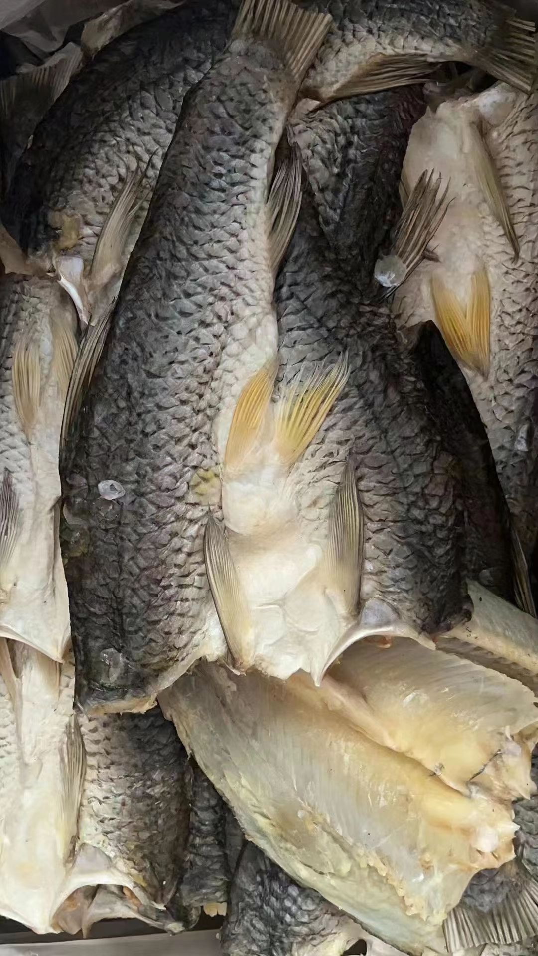 农家草鱼片 皖鱼片  开背草鱼片 去头开背去内脏