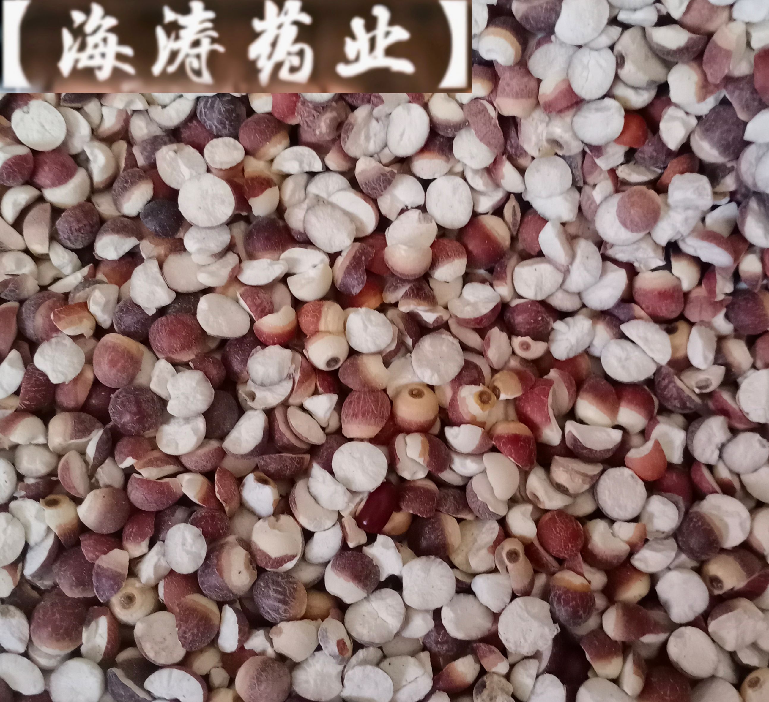 【芡实】产地江西实物拍摄一手货源大货供应规格齐全量大优惠。