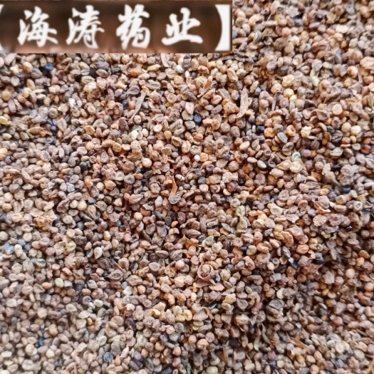 【地肤子】产地实物拍摄一手货源大货供应规格齐全量大优惠。