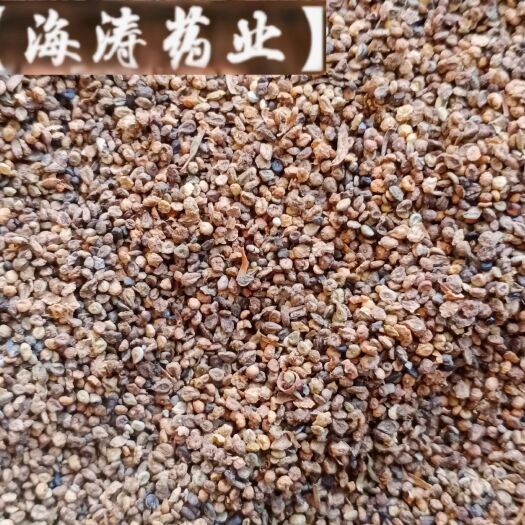 鄄城县【地肤子】产地实物拍摄一手货源大货供应规格齐全量大优惠。