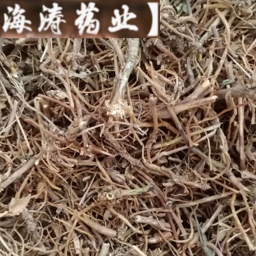 【龙胆草】产地东北实物拍摄一手货源大货供应规格齐全量大优惠。