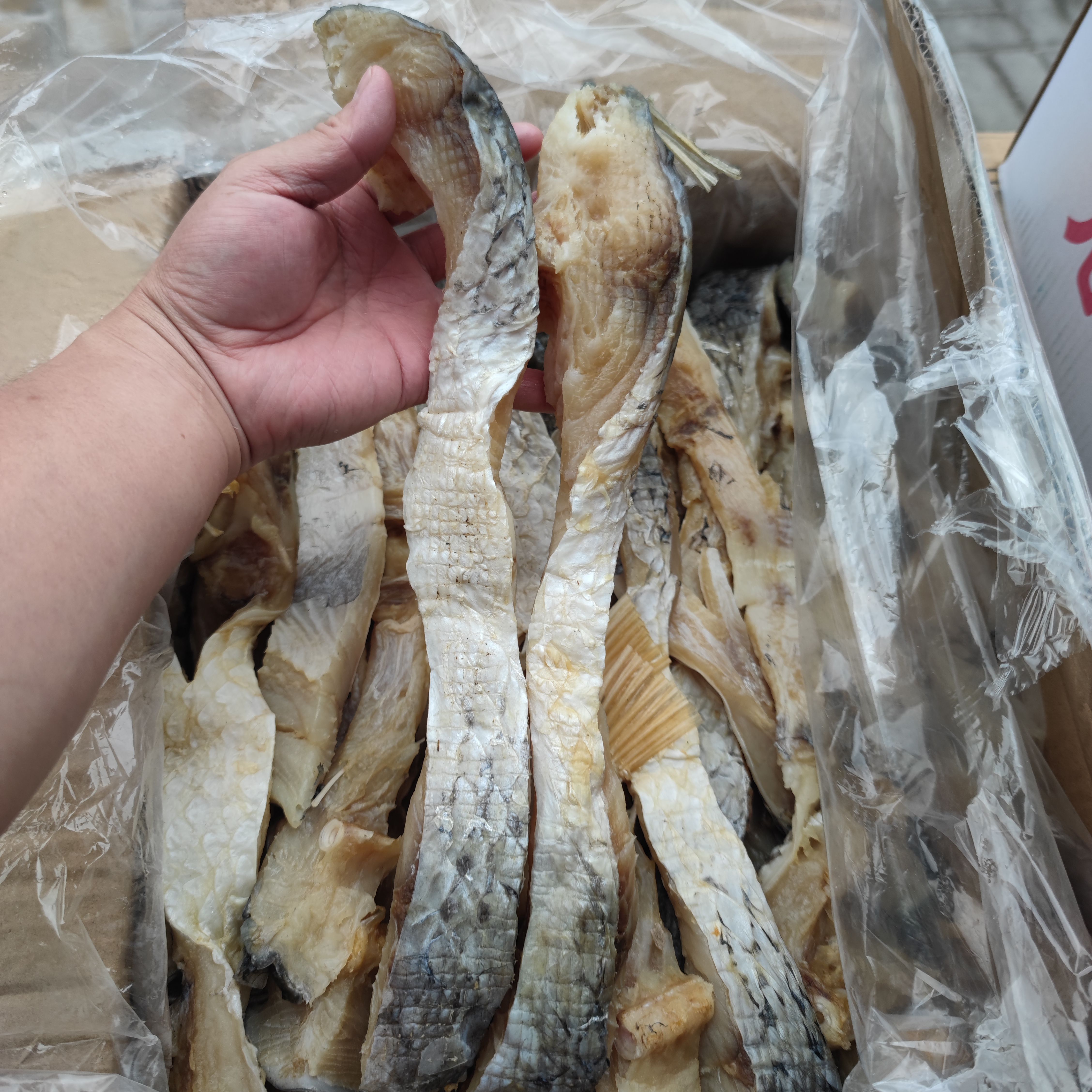 农家草鱼条 皖鱼条 鱼腩条