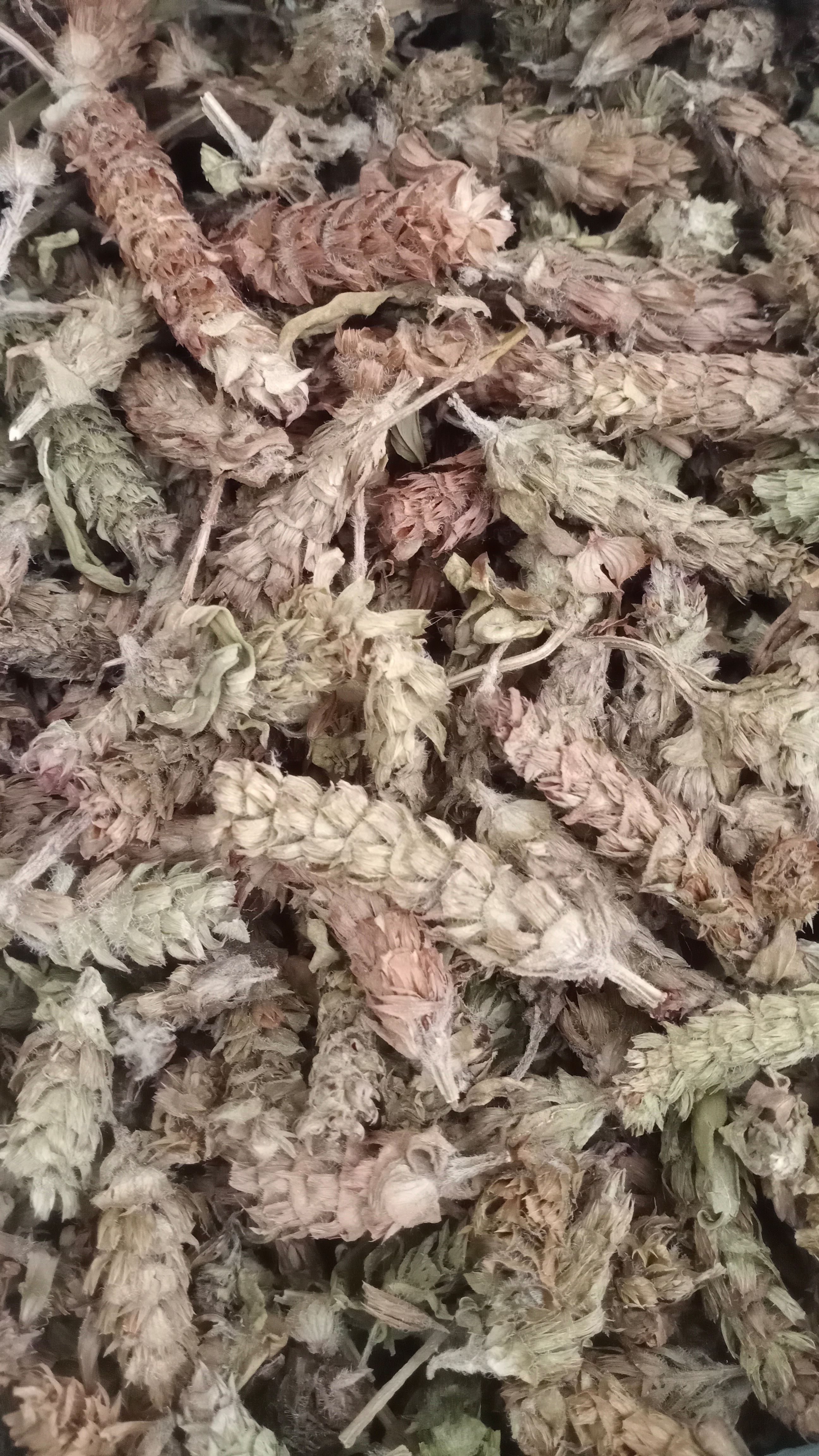 【夏枯球】产地河南实物拍摄一手货源大货供应规格齐全量大优惠。
