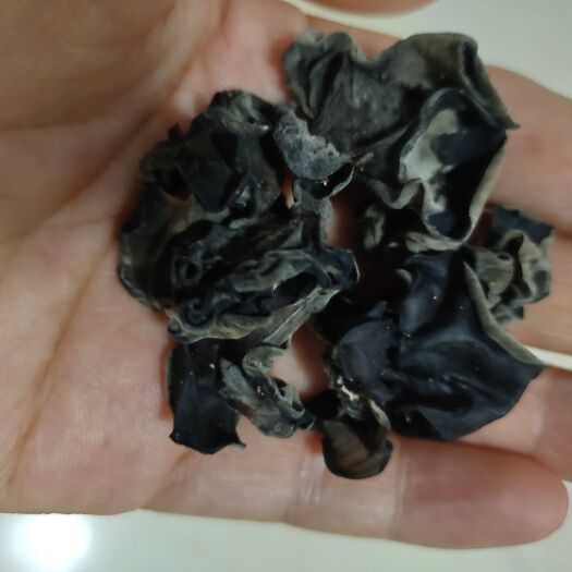 衡东县露天黑木耳
