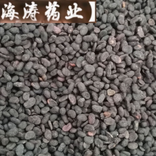 【补骨脂】产地广西实物拍摄一手货源大货供应规格齐全量大优惠。