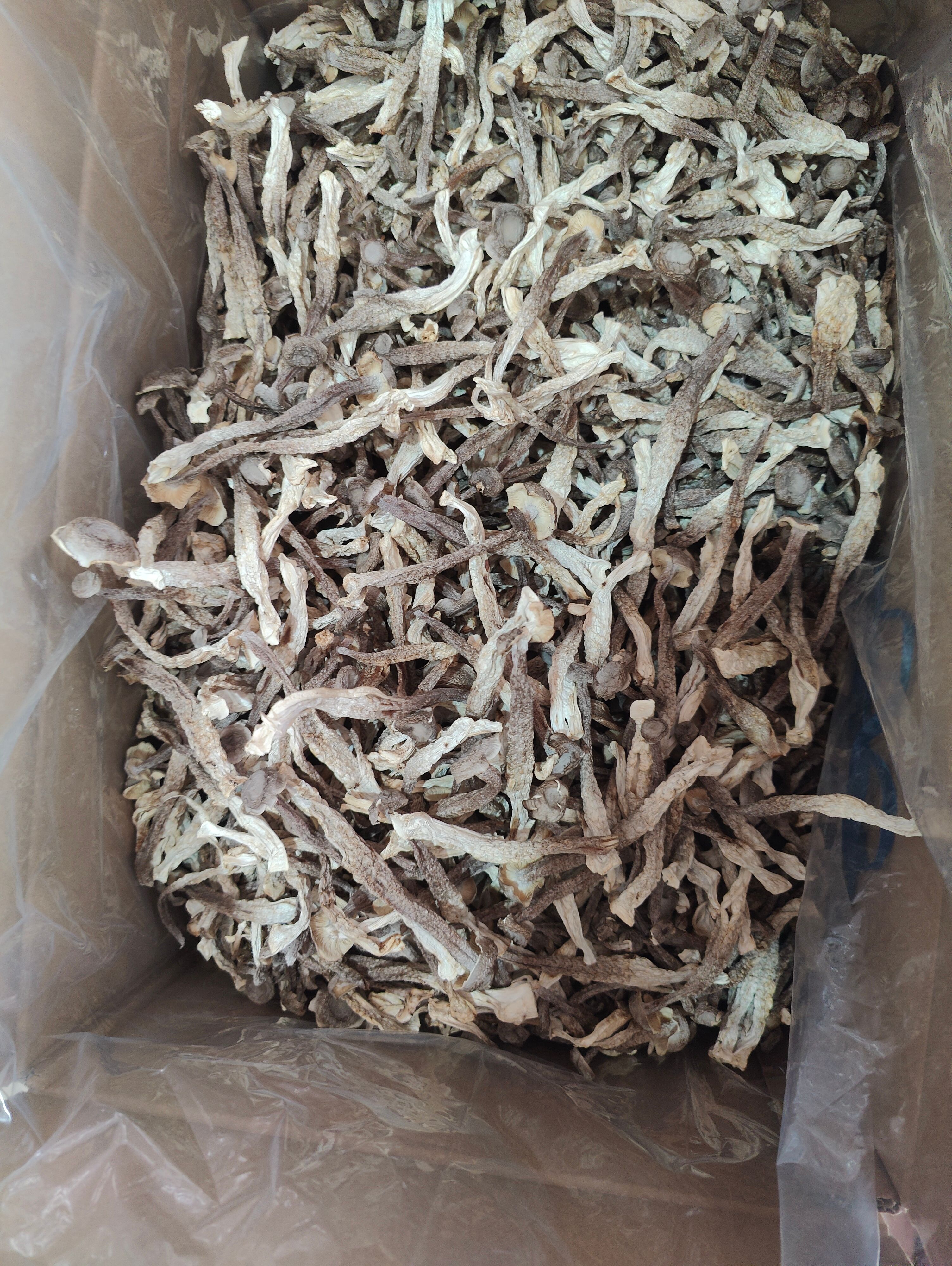 鹿茸菇，干货，不碎，