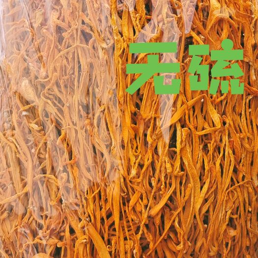 灯塔市北虫草花