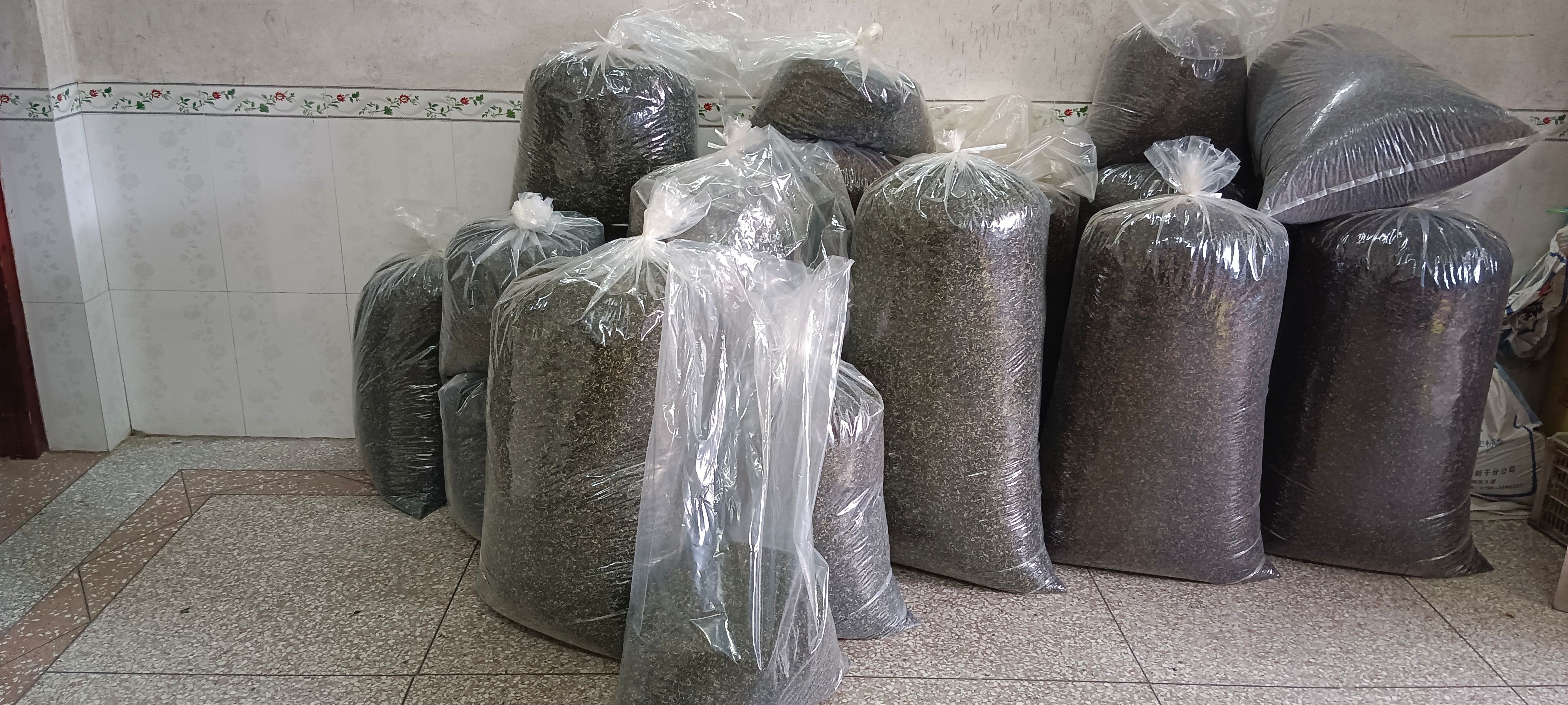 白茶2023新茶白毛茶春茶高山绿茶白毛茶口粮茶产地批发茶农价